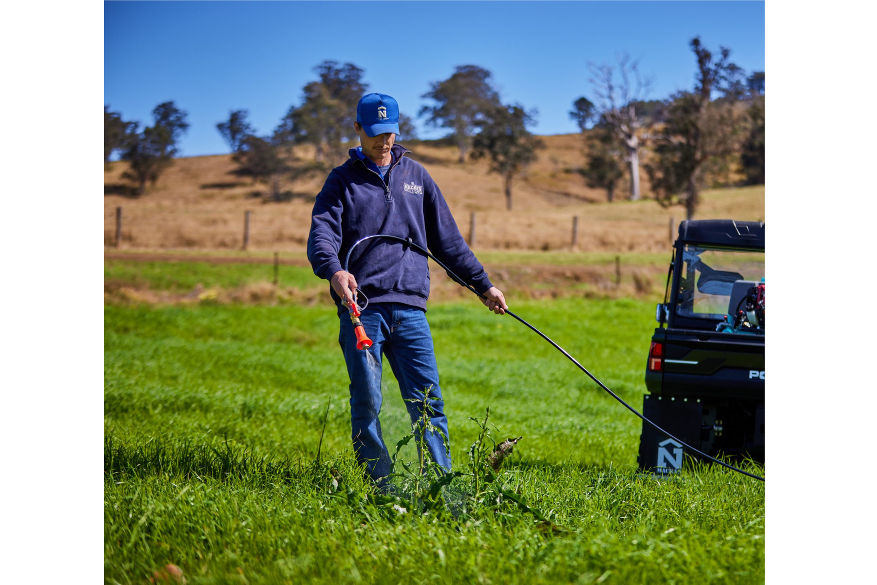 Spring Spraying Guide: When and How to Hit Weeds on Properties