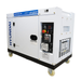 10kVA Hyundai DHY10000SE-LRS - right side angle
